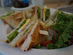 -Fern Forest Cafe