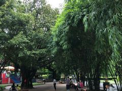 -晓港公园
