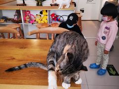-平行世界·猫咖(首经贸店)