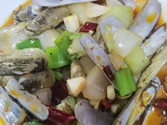 爆炒花斑蛤-温州一家人美食(西木头市店)