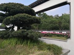 -盆景园(扬州大运河文化旅游度假区)