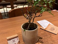 -CURRY YA 熟成咖哩專門店(深圳湾万象城店)