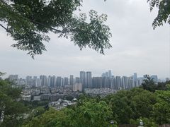 -金山公园