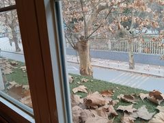-雕刻时光咖啡馆(师大路店)