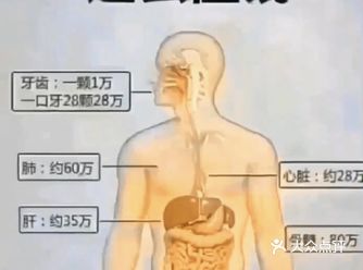 月子病？告诉你一个比较好的方法！产后恢复~