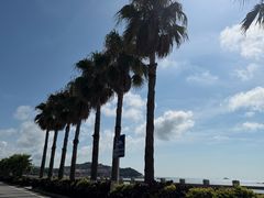 -湄洲岛