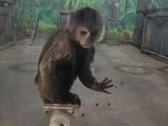 -西安秦岭野生动物园