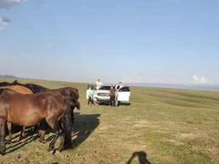 -新疆风味冷水鱼庄(友谊峰路店)