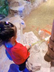 点击看大图 -宝燕乐园(闵行旗舰店)