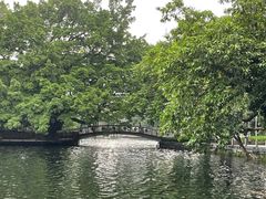 -荔湾湖公园