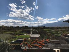 -翠田Green Field Kitchen