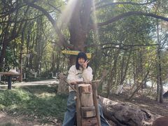 -天目湖山水园