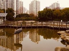 -苏州河梦清园环保主题公园