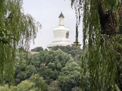 -国家图书馆·古籍馆