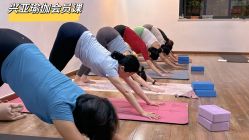 -兴亚瑜伽20年老馆