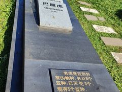 -横道河子东北虎林园
