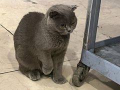 -牧歌KTV(广济南路店)