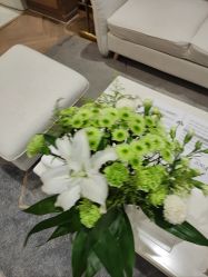 -HEYAN长风荷妍专业脱毛美肤
