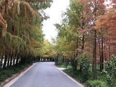 -上海山野camping·户外天幕烧烤·团建拓展营地