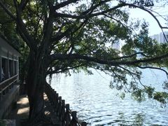 -南宁南湖公园