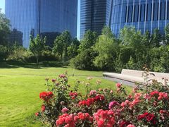 -中央广播电视总台(光华路办公区)