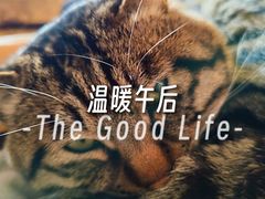 -正阳书局(西四南大街店)