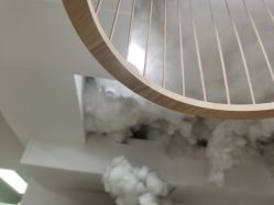 -杨丹国际美学肌研所