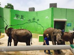 -大连森林动物园