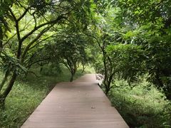 -张坝桂圆林公园