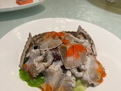 -洲晓鲜·舟山海鲜大排档(朱家尖风景区店)
