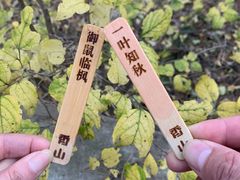 -香山公园