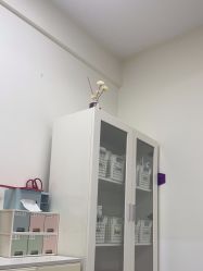 -美莱医疗美容医院