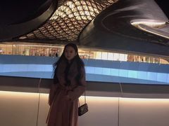 -哈尔滨大剧院