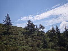 -驼梁风景区