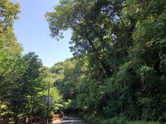 -杭州半山国家森林公园