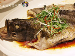 清蒸石斑鱼-人杰鱼乐轩(珠江路店)