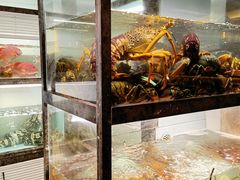 -甄御•海鲜新青岛菜(麦岛店)