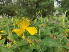 -白塘生态植物园