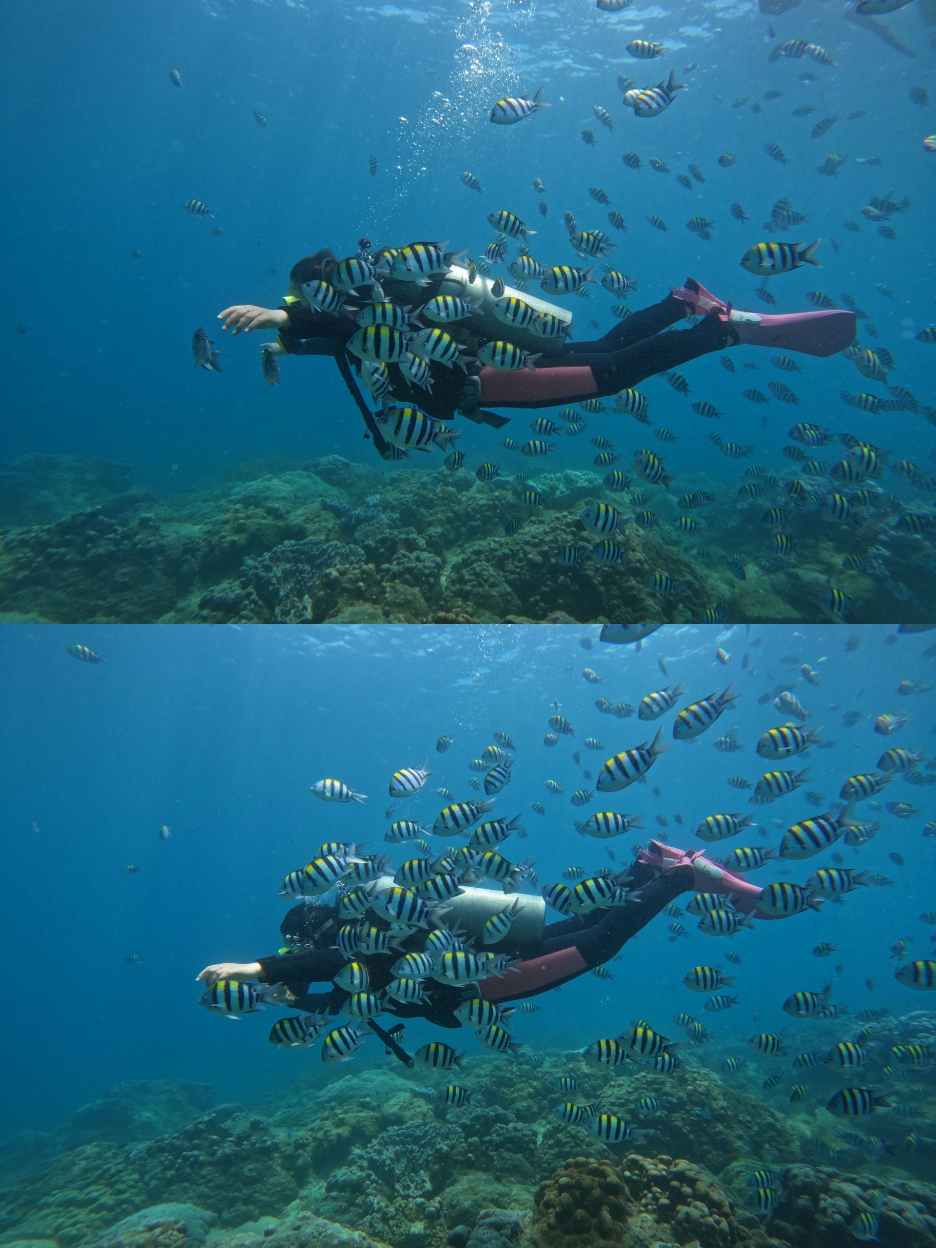 潜水照片真实图片