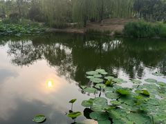 -南翠屏公园