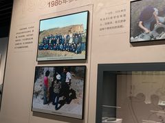 -四川大学博物馆