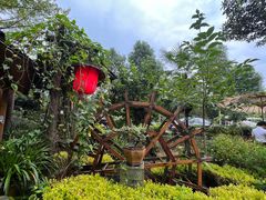 -青城甲(青城山店)