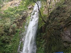 -莫里热带雨林景区