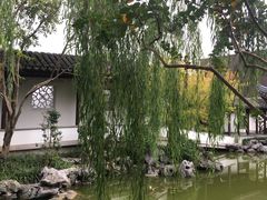 -秋霞圃