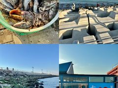 -大连海之韵公园
