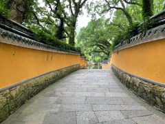 -普陀山雷迪森庄园