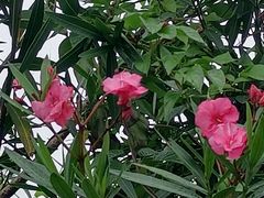 -千龙湖生态旅游度假区