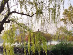 -上海交通大学(闵行校区)