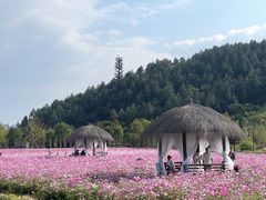 -径山花海