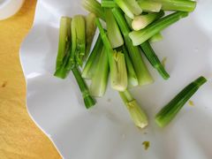 -新合益乡村农庄
